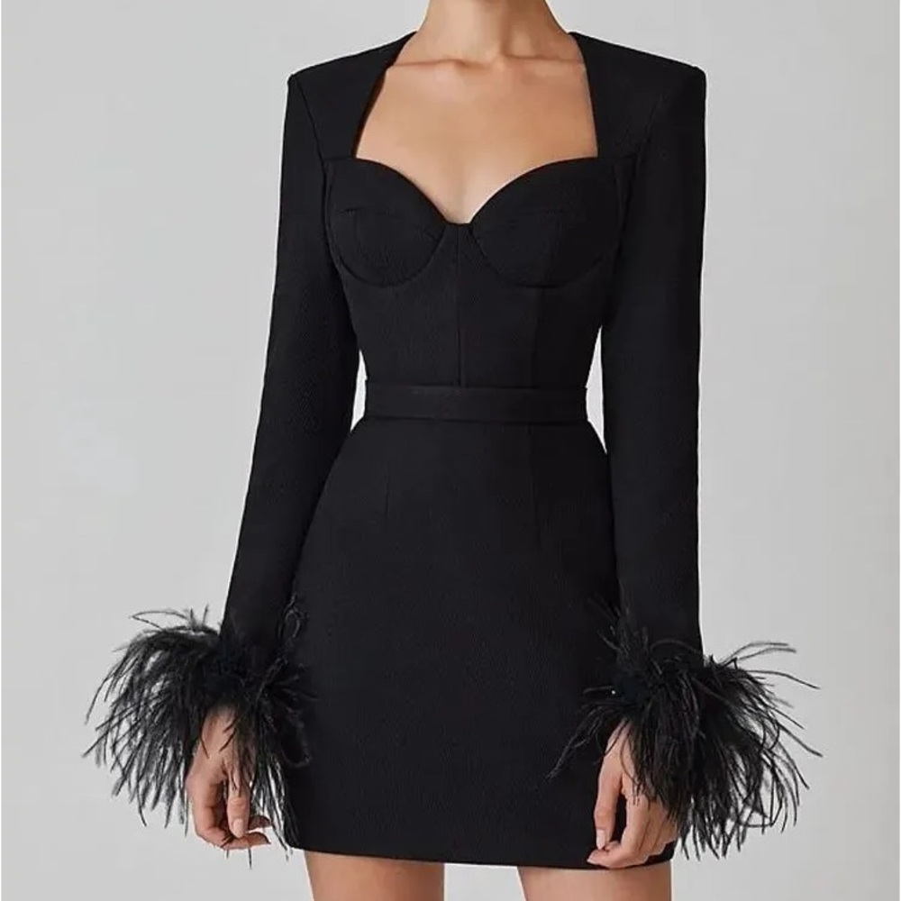 Aspen Black Feather Bodycon Mini Dress- Black